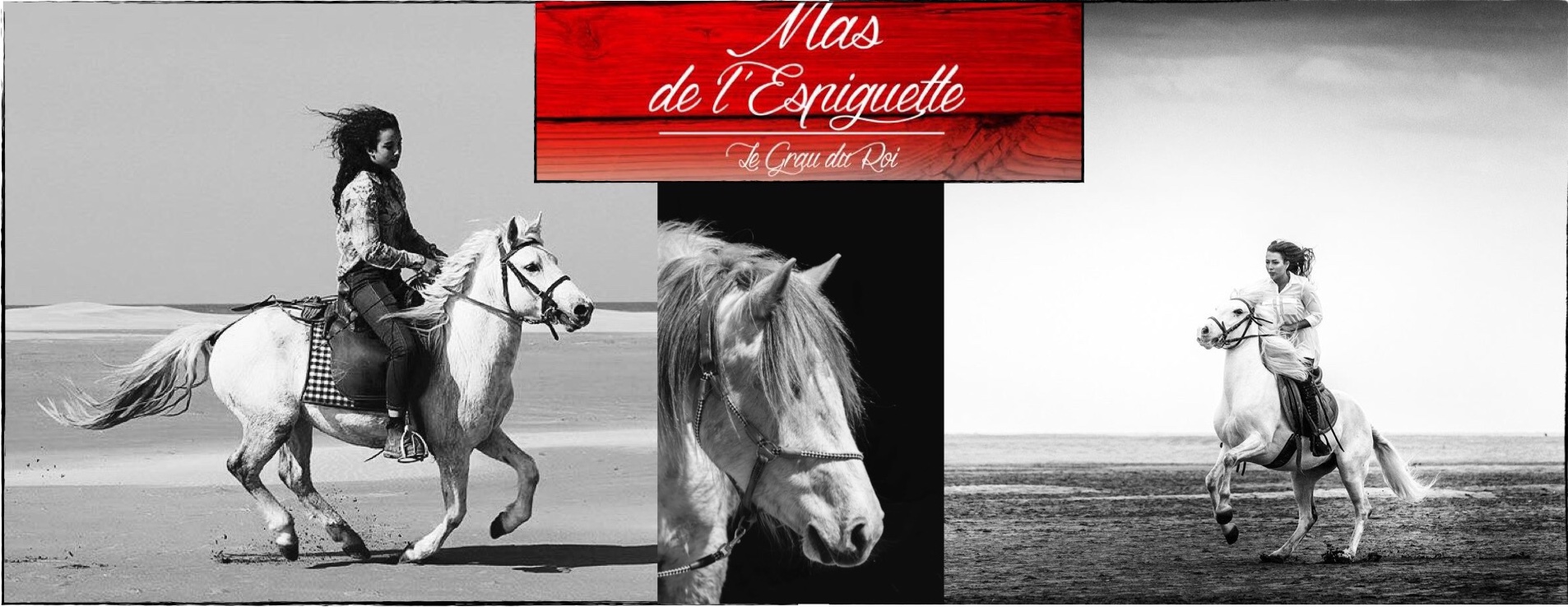 Mas L Espiguette